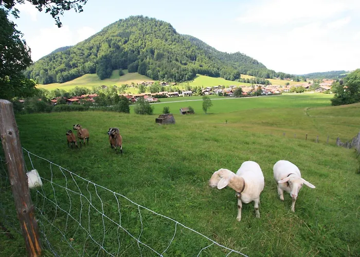 Feriegård Schneider-hof Inkl. Chiemgaukarte Ruhpolding