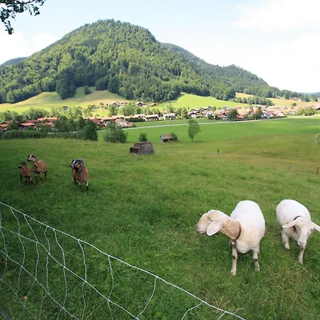 Çiftlik konaklama Schneider-hof Inkl. Chiemgaukarte Ruhpolding